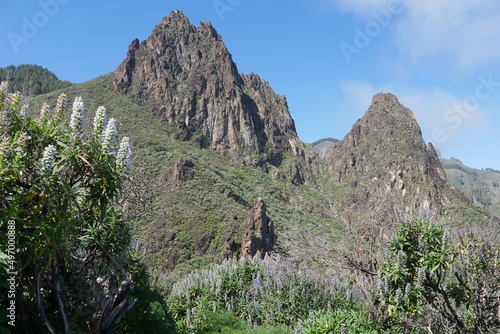 Landschaft mit Felsen auf Gran Canaria