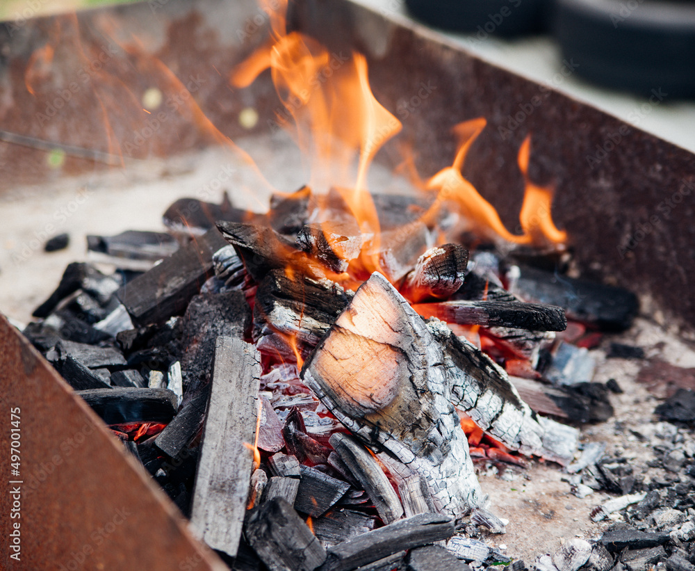 A brightly burning bonfire with a red flame made from wood in an outdoor grill.An adventurous lifestyle in travel. Active weekend recreation in the wild outdoors. A brightly burning bonfire with a red flame made from wood in an outdoor grill.An adventurous lifestyle in travel. Active weekend recreation in the wild outdoors.