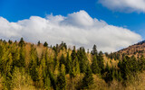 panorama of the Carpathian mountains, Skole Beskids National Nature Park, Ukraine