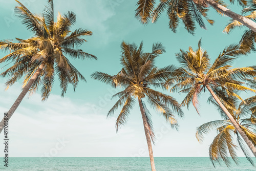 Fototapeta Naklejka Na Ścianę i Meble -  Beautiful nature palm tree at tropical beach on blue sky abstract background. Copy space of summer vacation and business travel concept.