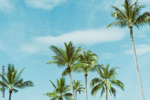 Tropical palm tree with blue sky and cloud abstract background. Summer vacation and nature travel adventure concept.