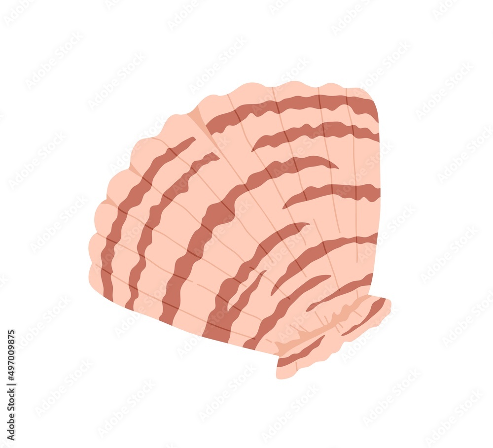 Sea shell, clam. Marine undersea mollusc. Scallop mollusk icon. Ocean