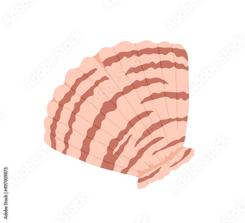 Sea shell, clam. Marine undersea mollusc. Scallop mollusk icon. Ocean underwater seashell. Exotic beach fan-shaped clamshell. Nautical shellfish. Flat vector illustration isolated on white background