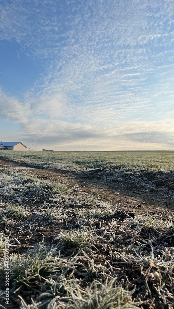 Eine Landschaftsfotografie an einem sehr kalten Morgen im April. Man kann die Kälte auf diesem Foto förmlich spüren. 
Wiese, Acker, auf dem Land, Morgens, in der Früh