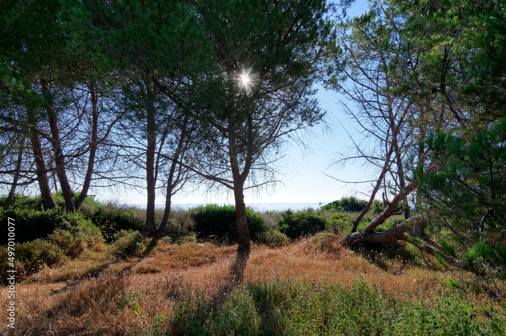 Coastal path in eastern plain of Corsica. Bravonne village Coastal path in eastern plain of Corsica. Bravonne village