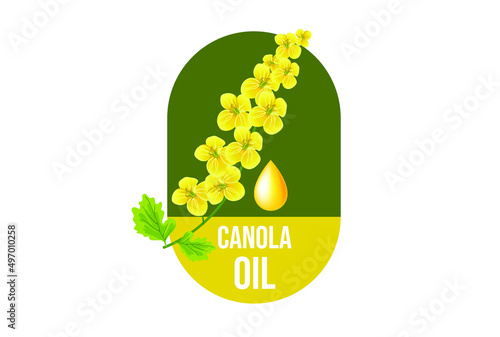 canola oil label, packaging design element vector illustration 