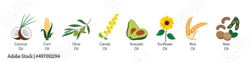 coconut oil, sunflower oil, olive oil, canola oil, avocado oil, corn oil, rice oil, nut oils isolated vector illustration 