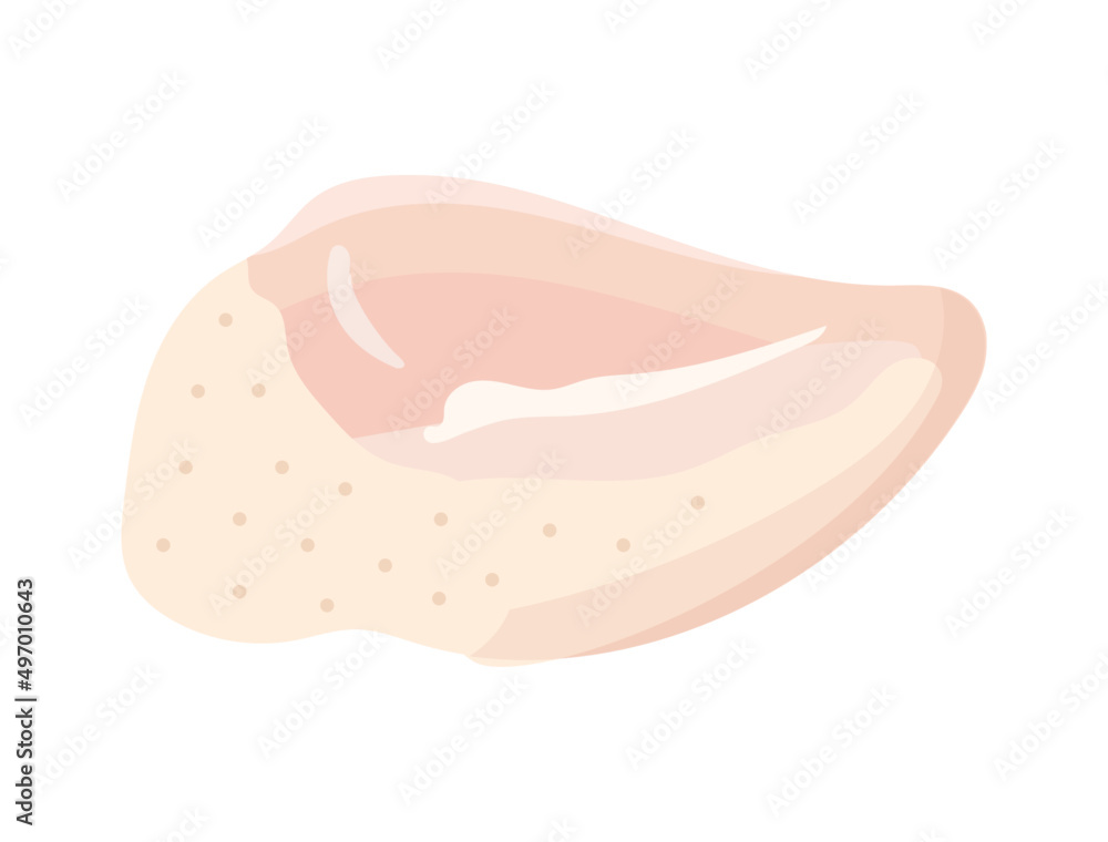 鶏肉 イラスト 鶏肉 イラスト