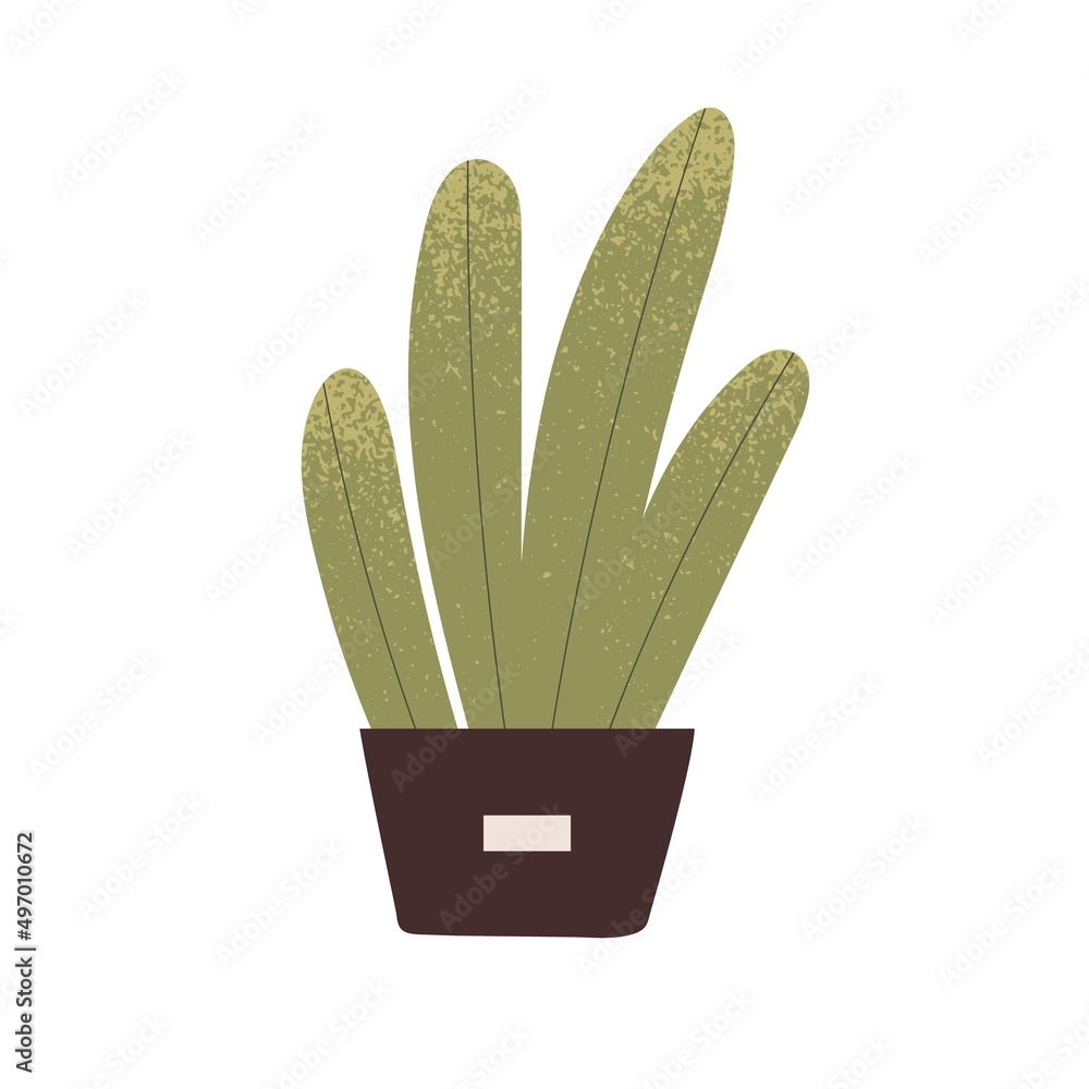 House plant in pot. Indoor green-leaf houseplant growing in flowerpot. Home and office foliage decoration. Eco natural decor in modern style. Flat vector illustration isolated on white background House plant in pot. Indoor green-leaf houseplant growing in flowerpot. Home and office foliage decoration. Eco natural decor in modern style. Flat vector illustration isolated on white background
