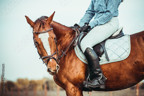 Obraz na plátne Young woman athlete rides a horse