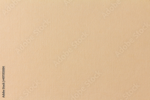 Texture of light brown pastel paper