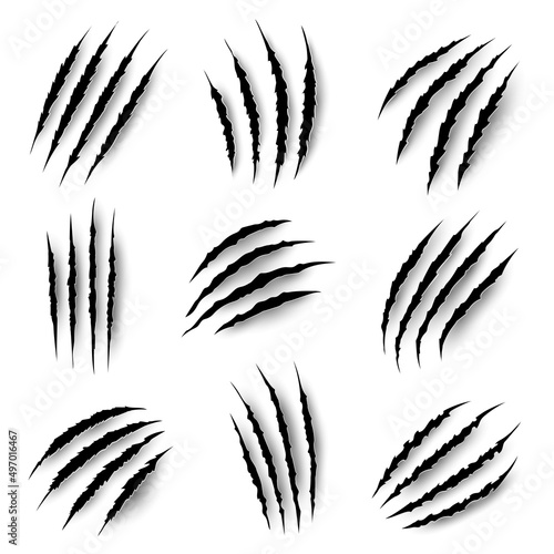 Claws marks, scratches of wild animals, vector nails rips of tiger, bear or cat paw sherds on white background. Lion, monster or beast break, four claws traces, realistic 3d marks texture isolated set
