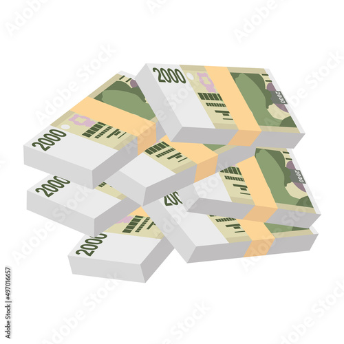 Czech Koruna Vector Illustration. Czech Republic money set bundle banknotes. Paper money 2000 CZK. Flat style. Isolated on white background. Simple minimal design.