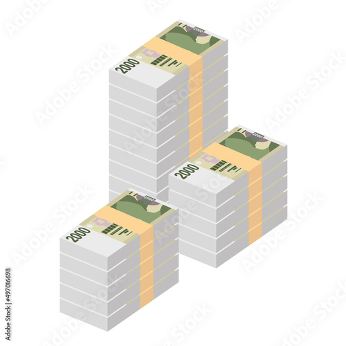 Czech Koruna Vector Illustration. Czech Republic money set bundle banknotes. Paper money 2000 CZK. Flat style. Isolated on white background. Simple minimal design.