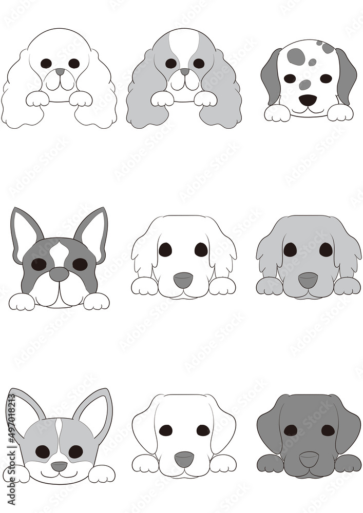 Fototapeta premium ワンちゃんの正面顏(手つき))6犬種9匹セット)グレースケール