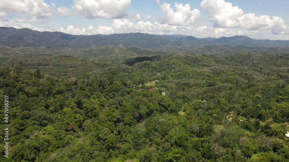 Aerial view of nature forest in summer. Dron flying over beautiful landscape in Southern Thailand Aerial view of nature forest in summer. Dron flying over beautiful landscape in Southern Thailand