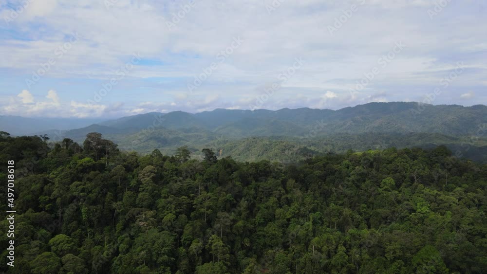 Aerial view of nature forest in summer. Dron flying over beautiful landscape in Southern Thailand Aerial view of nature forest in summer. Dron flying over beautiful landscape in Southern Thailand