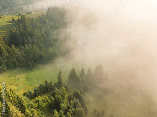 Fog envelops the mountain forest. The rays of the rising sun break through the fog. Aerial drone view.