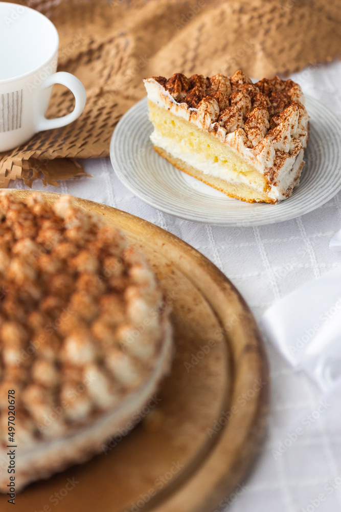 Piece of homemade tiramisu cake with cocoa on top on white porcelain plate Piece of homemade tiramisu cake with cocoa on top on white porcelain plate