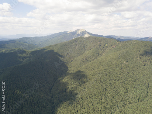 Green mountains of Ukrainian Carpathians in summer. Sunny day  rare clouds. Aerial drone view.