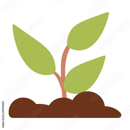 plant cultivating in ground