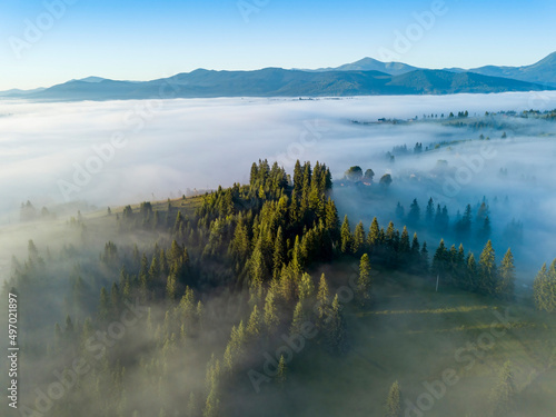 Fog envelops the mountain forest. The rays of the rising sun break through the fog. Aerial drone view.