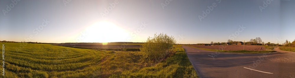 Panoramic view sunset, sunrise over rural meadow field and asphalt open road. Countryside landscape with footpath under scenic summer cloudless sky. Sun is above the horizon Panoramic view sunset, sunrise over rural meadow field and asphalt open road. Countryside landscape with footpath under scenic summer cloudless sky. Sun is above the horizon