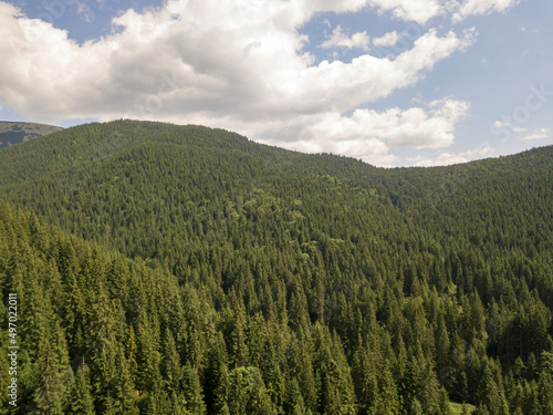 Green mountains of Ukrainian Carpathians in summer. Sunny day, rare clouds. Aerial drone view.