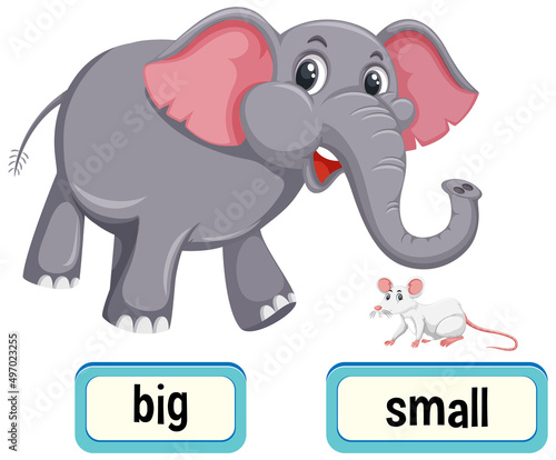Opposite words for big and small