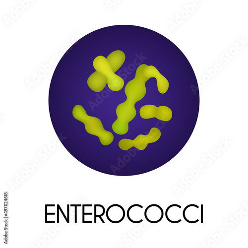 Realistic Bacteria Illustration