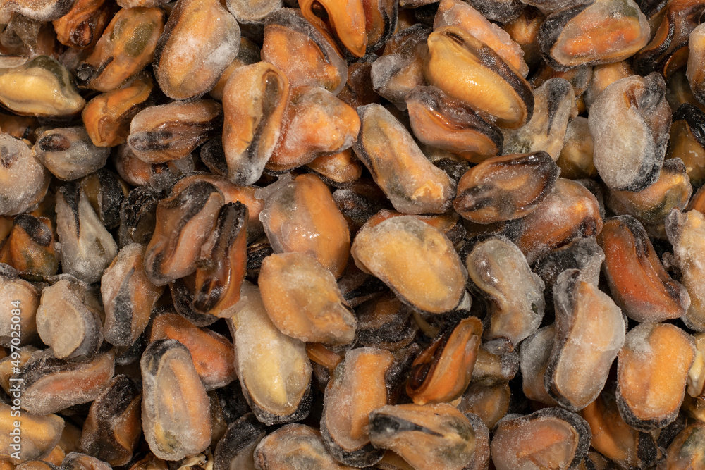 Frozen seafood. Background of frozen mussels in glaze. Frozen seafood. Background of frozen mussels in glaze.