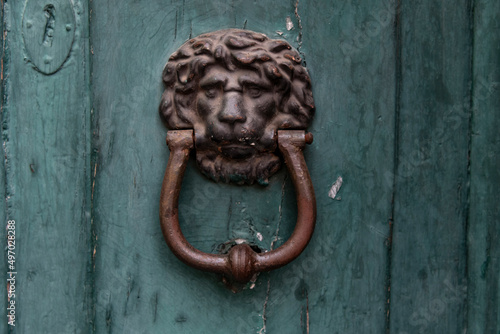Royal style doorknocker on old wooden door.