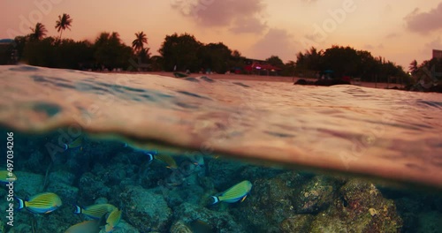 Sunset in the tropical sea. Underwater view of the coral reef at sunset photo