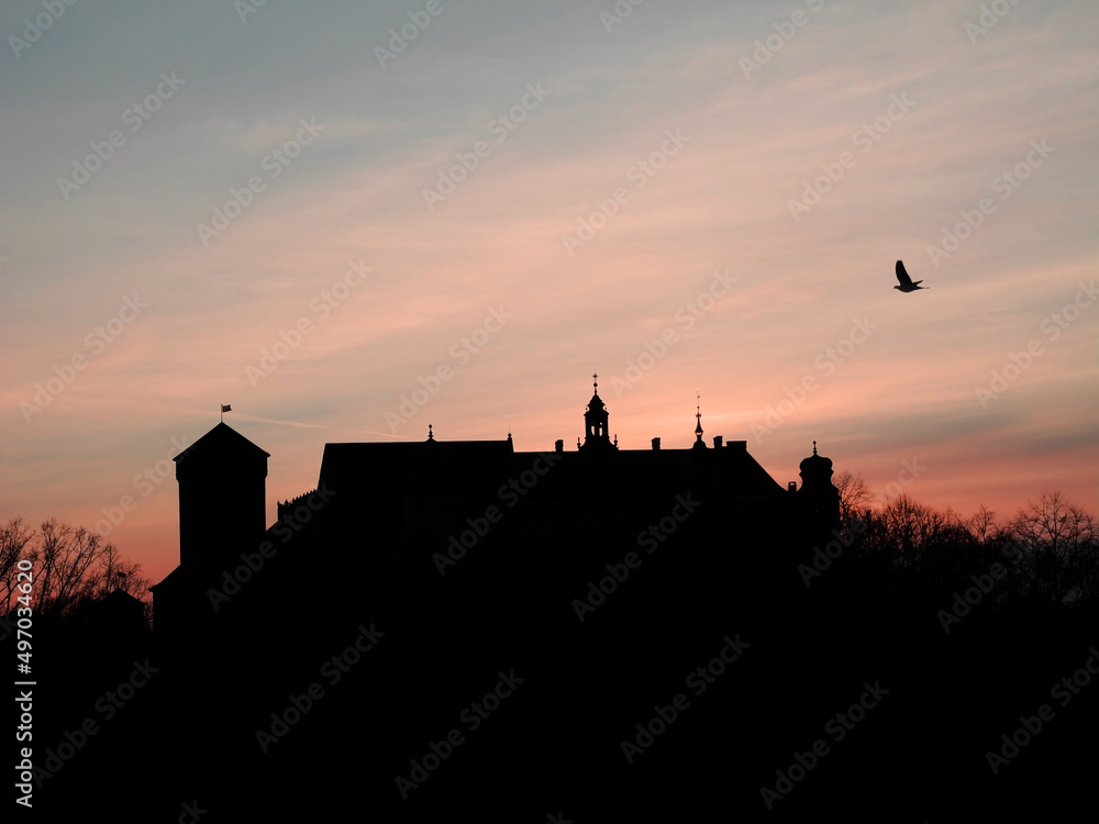 Wawel castle skyline after sunset. Beautiful purple sky and flying bird. 