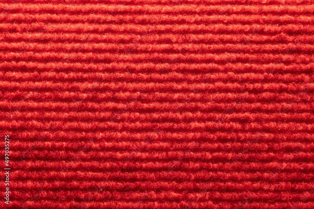 Fototapeta premium short pile carpet for hallway