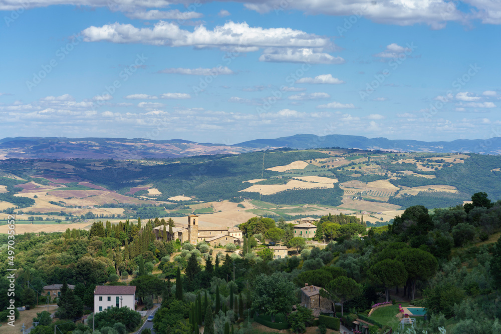 Obraz premium Rural landscape near Montalcino,Siena, Tuscany