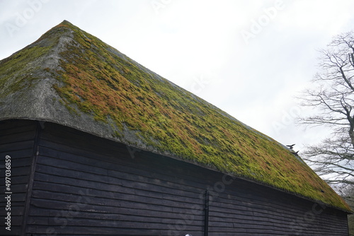 Wimpole Home Farm photo