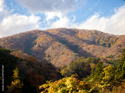 紅葉