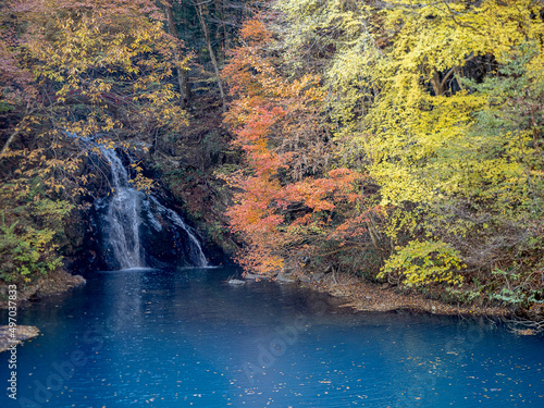紅葉