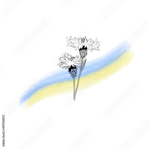cornflowers and yellow-blue flag of Ukraine.