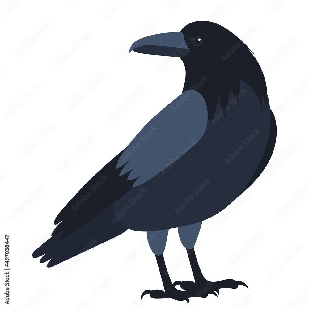 Fototapeta premium Raven flat design, isolated, vector