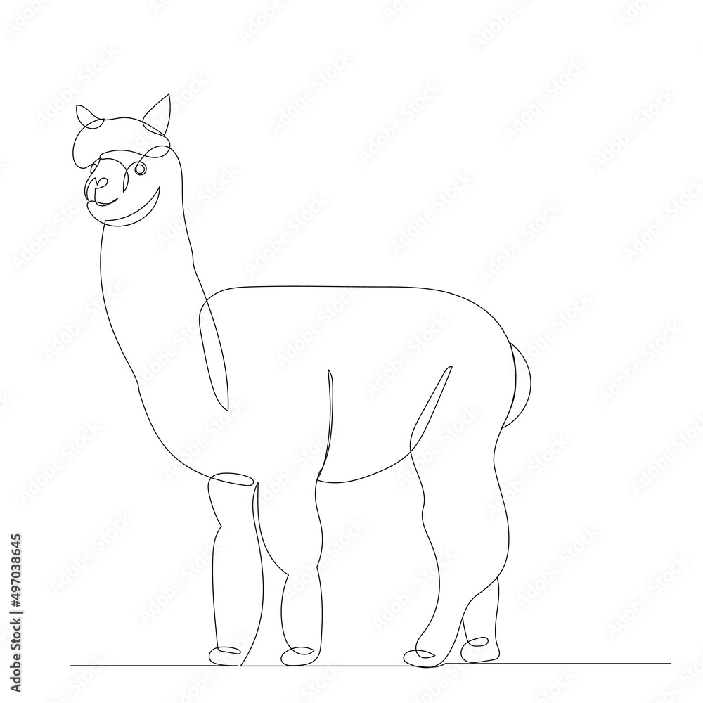 lama drawing by one continuous line, isolated vector lama drawing by one continuous line, isolated vector