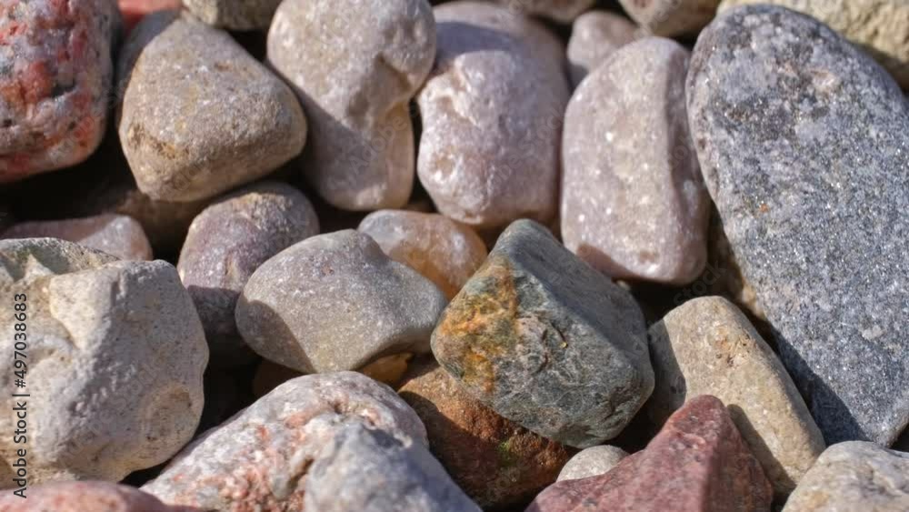 Round Pebble Rocks Dried Out River Bed Round Pebble Rocks Dried Out River Bed
