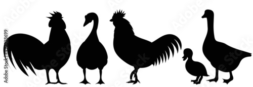 domestic birds black silhouette isolated vector
