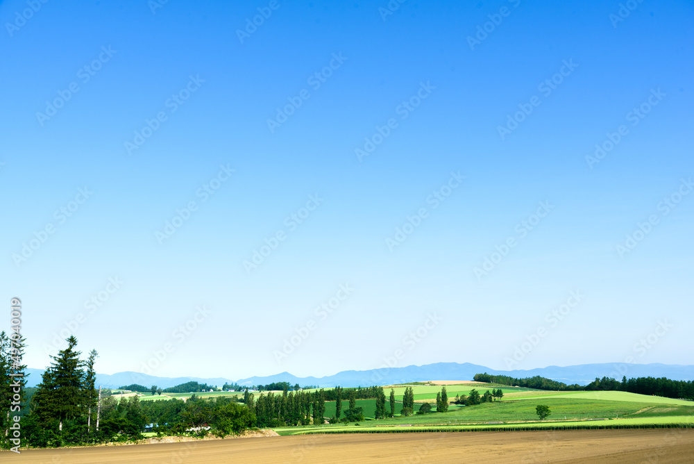 さわやかに晴れ渡った美瑛の丘の風景  北海道美瑛町の観光イメージ