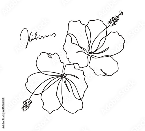 Beautiful hibiscus flower pattern. Line art concept design. Continuous line drawing. Stylized flower symbol. Vector illustration.