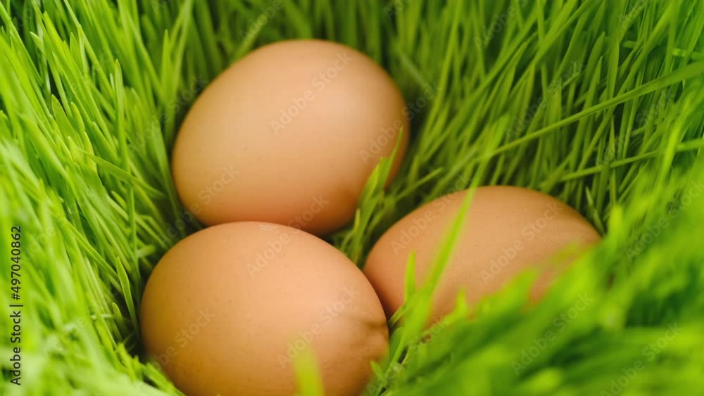Chicken egg, rotation shot, Chicken fresh raw eggs.Healthy fresh food ingredients for breakfast. Animal products. Grocery. Chicken farm fresh eggs Chicken egg, rotation shot, Chicken fresh raw eggs.Healthy fresh food ingredients for breakfast. Animal products. Grocery. Chicken farm fresh eggs