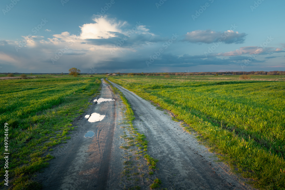Dirt road with puddles between green fields, Czulczyce, Poland Dirt road with puddles between green fields, Czulczyce, Poland