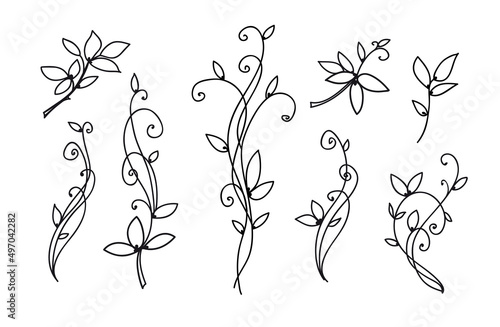 Decorative plant leaves and branches line drawing set. Beauty flora concept and Bio symbol.  Botanical elegant vector illustration