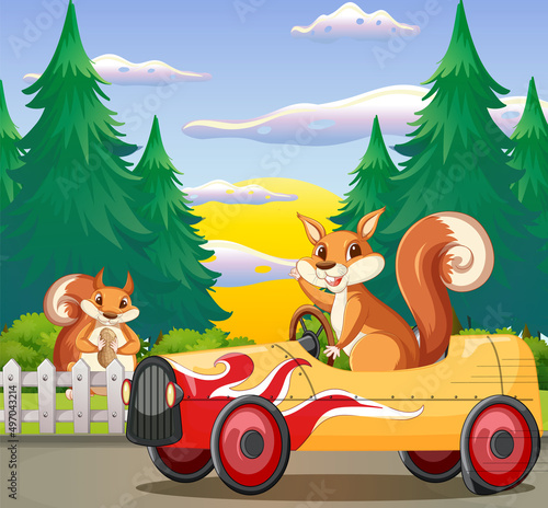 A squirrel driving on island
